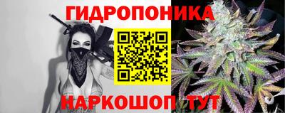 хмурый Кимры
