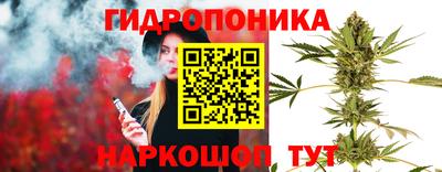 таблы Кингисепп
