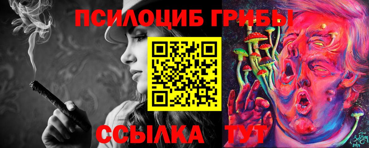 Шебекино  Псилоцибиновые грибы мицелий  Вход с VPN 